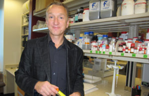 Resveratrol derivative shows promise in treating atrial fibrillation