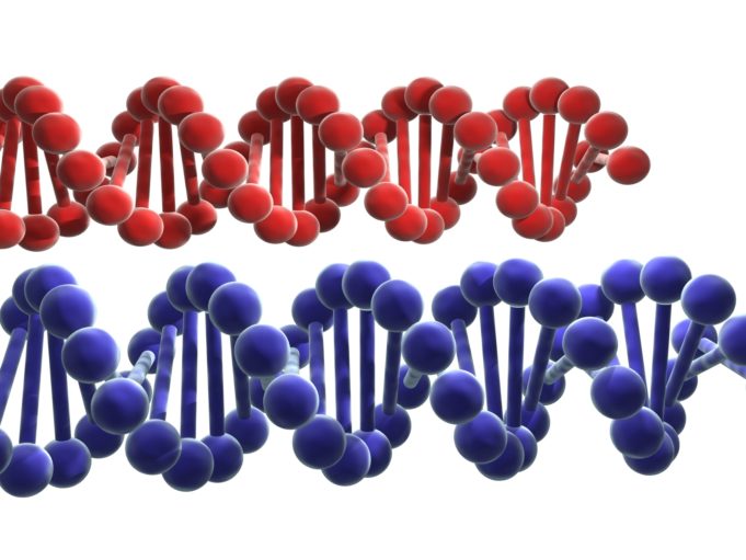 Arca Biopharma announces 100th patient randomised into the GENETIC-AF phase 2b/3 clinical trial