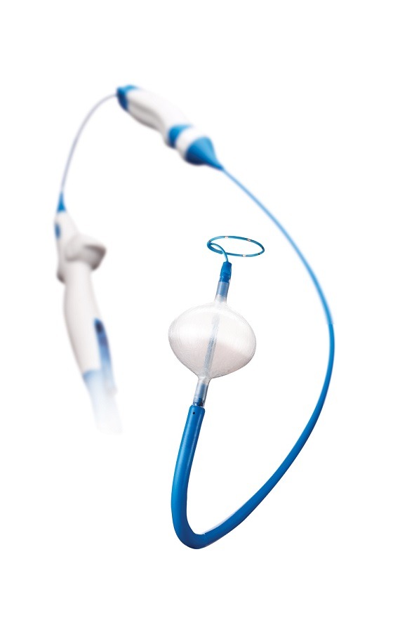 Medtronic's Arctic Front Advance cryoballoon, Achieve mapping catheter and FlexCath Advance steerable sheath