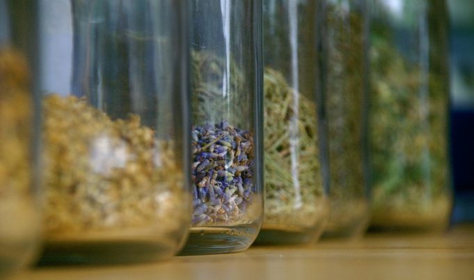 Researchers urge physicians to discuss herbal medication use with heart disease patients