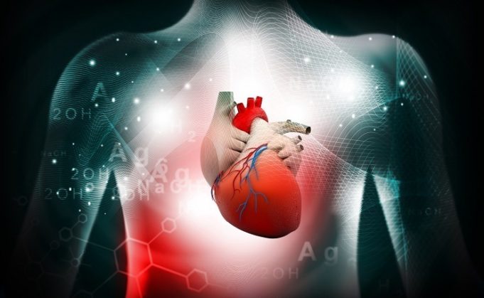 Field Medical and CardioNXT to collaborate on 3D integrated PFA therapy