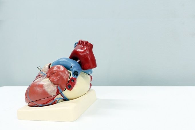 US physicians “among nation’s first” to implant neurostimulator technology for advanced heart failure