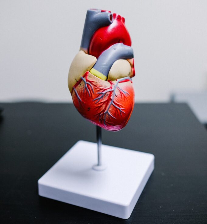 Women more likely to experience long-term anxiety after cardiac arrest cardiac arrest
