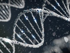 New gene identified in search for improved malignant cardiac arrhythmia therapy