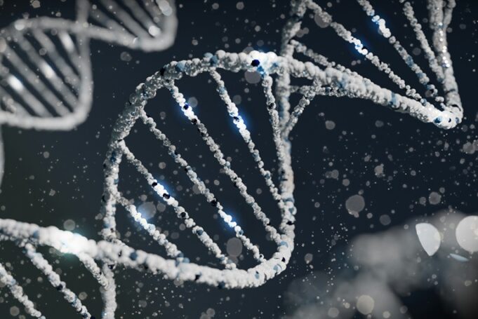 New gene identified in search for improved malignant cardiac arrhythmia therapy