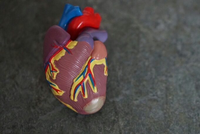 Heart failure found to be common in people with AF detected during screening