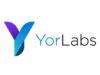 YorLabs gains US FDA 510(k) for “first-of-its-kind” intracardiac imaging system