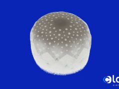 Gore enters into agreement for acquisition of Conformal Medical